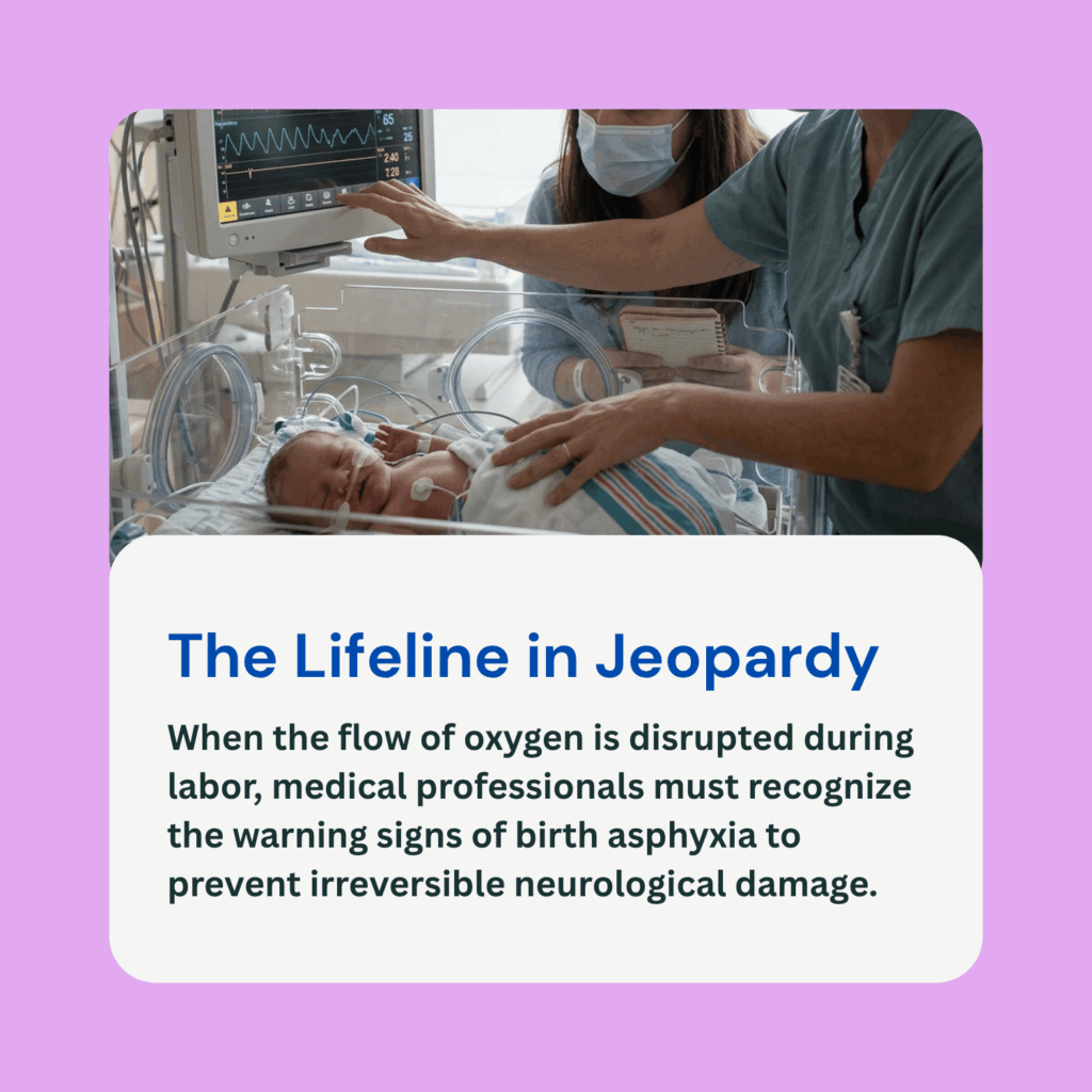 Birth asphyxia medical malpractice