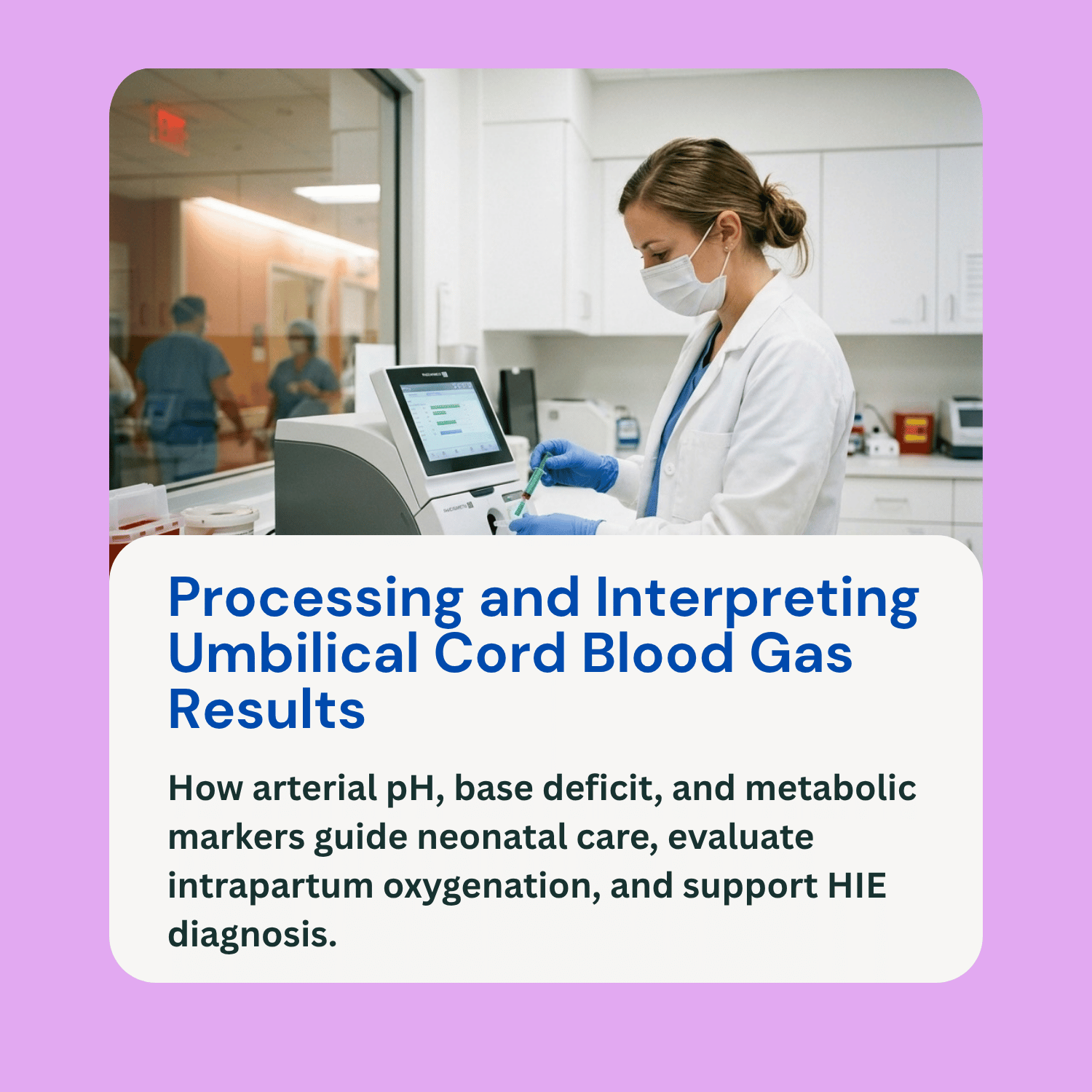 umbilical cord